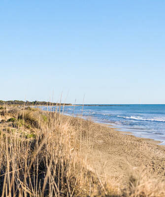 plage-espiguette